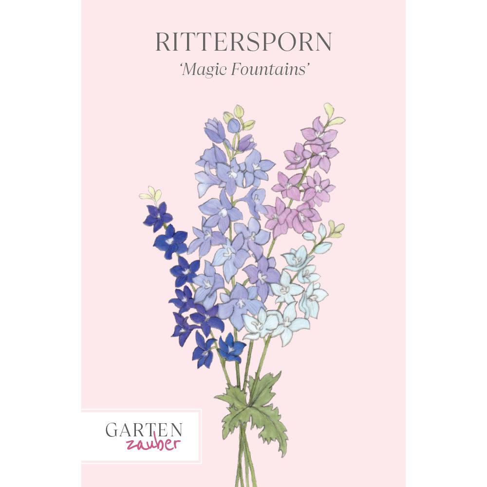 Vorderansicht Saatguttuete Rittersporn 'Magic Fountains' Crystal Mix  Delphinium elatum aus der Gartenzauber-Saatgutserie