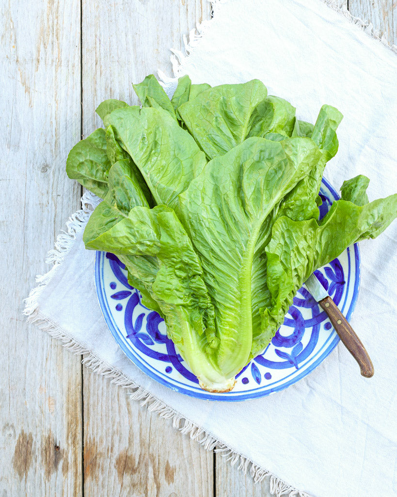 Ein Teller mit blau-weißem Muster liegt auf einer Serviette, auf dem Teller liegt ein grüner Roamanasalat 'Valmaine'.