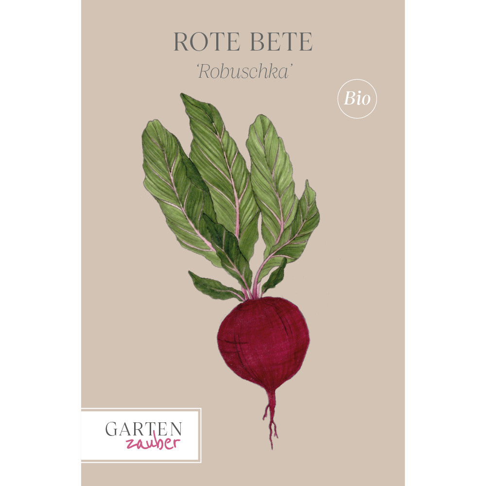 Rote Bete · 'Robuschka' · BIO - Beta vulgaris subsp. vulgaris var. conditiva · Saatgut von Gartenzauber