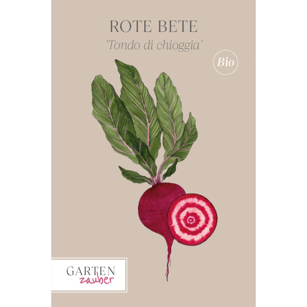 Rote Bete · 'Tondo di Chioggia' · BIO · Beta vulgaris subsp. vulgaris var. conditiva · Saatgut von Gartenzauber