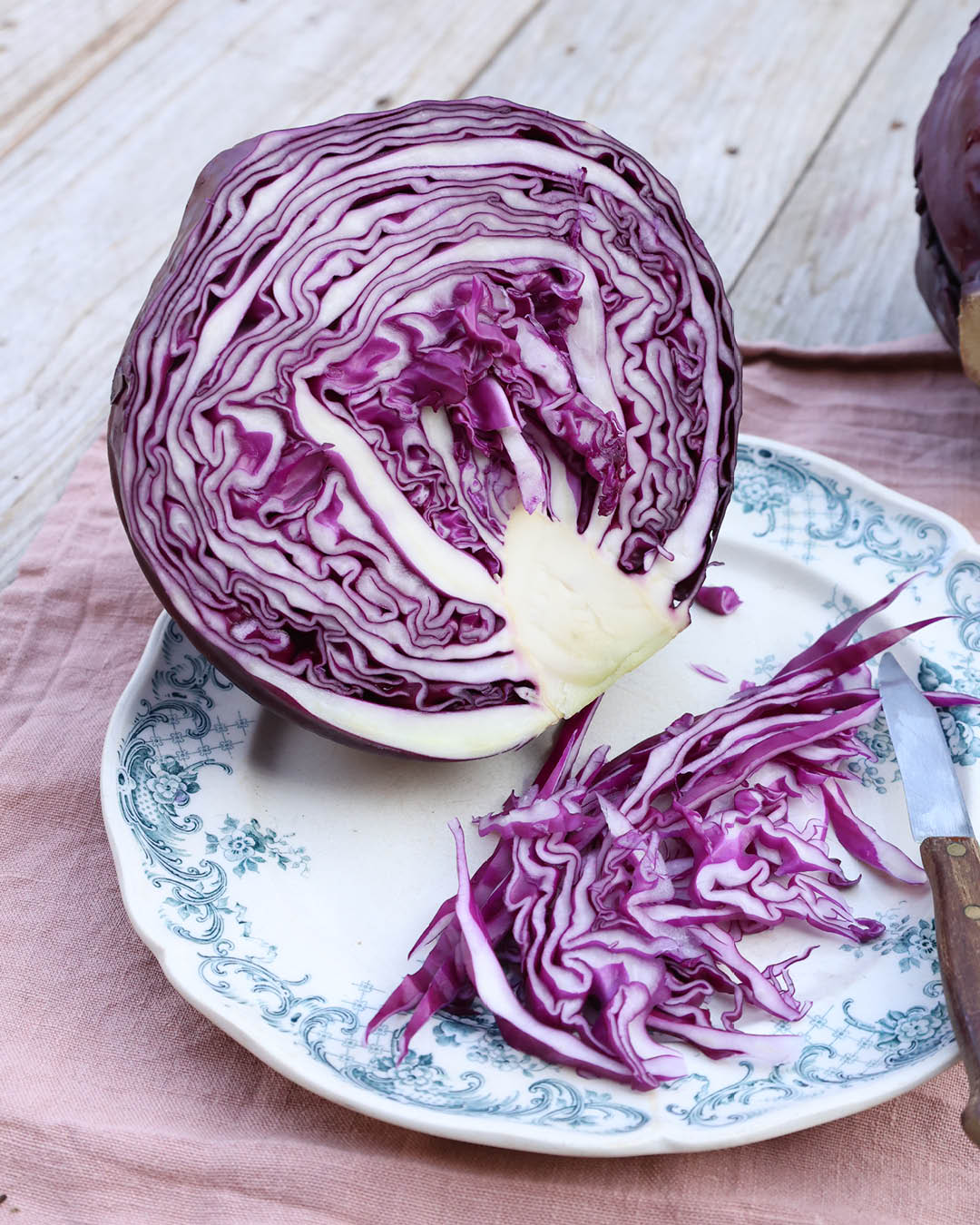 Rotkohl ‘Rodynda’ aus der Gartenzauber-Saatgutserie