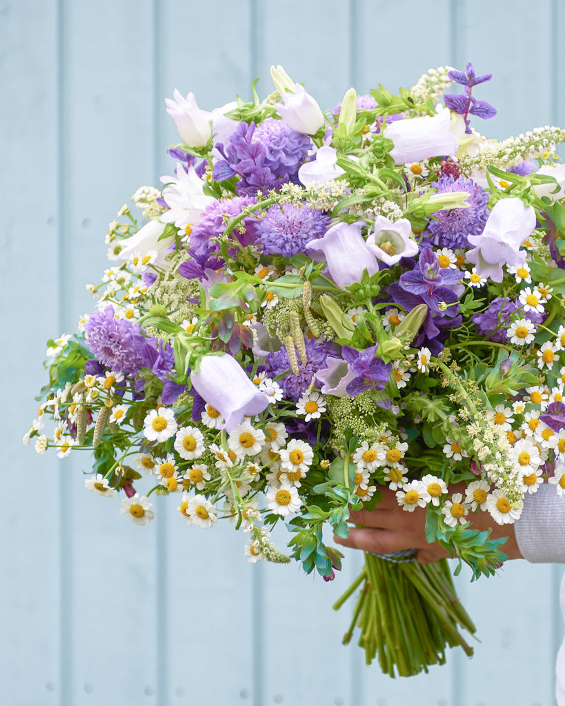 Saatgutpaket -  Blue Sky -  Saatgut von Gartenzauber