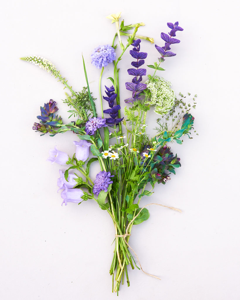 Saatgutpaket -  Blue Sky -  Saatgut von Gartenzauber