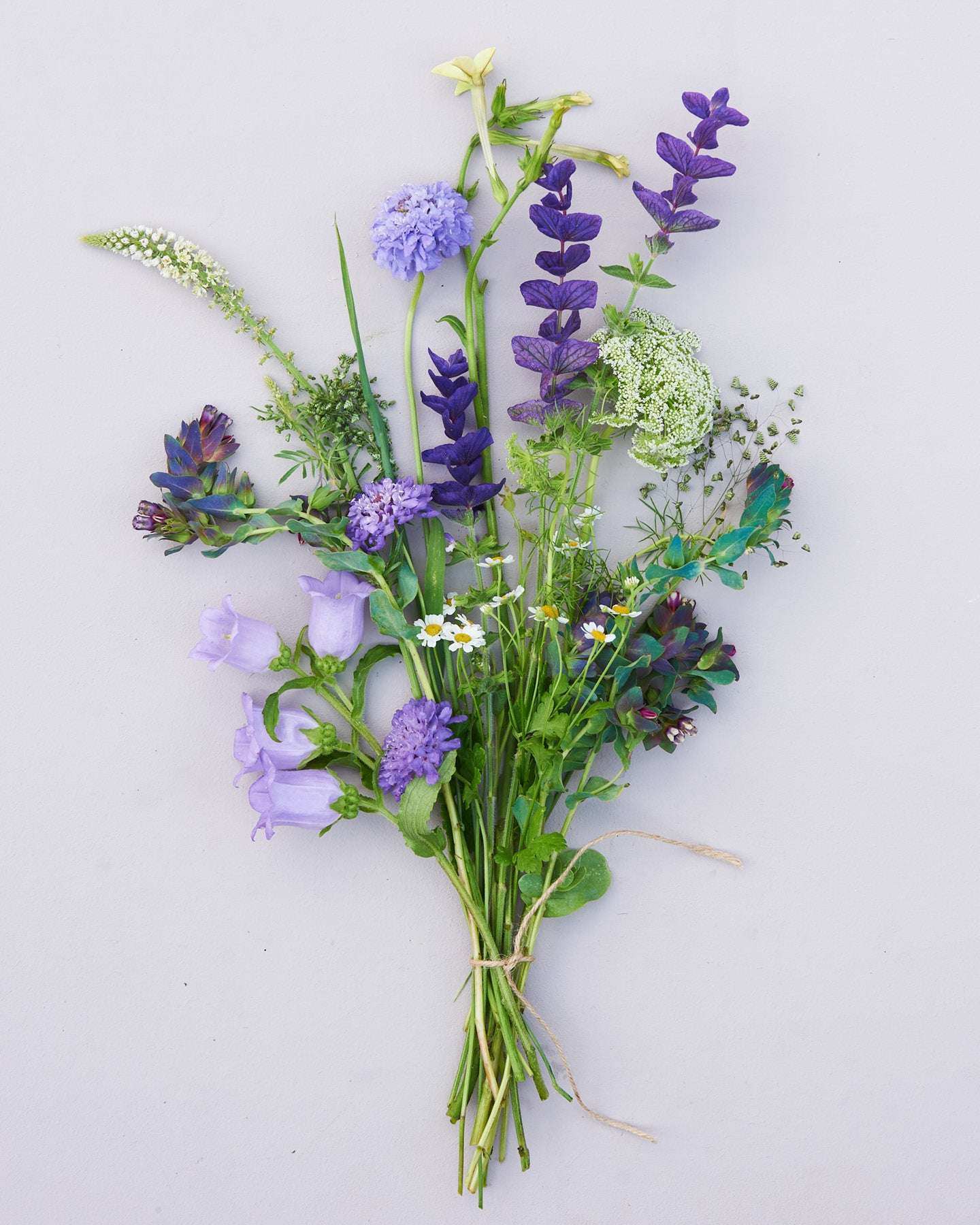 Saatgutpaket -  Blue Sky -  Saatgut von Gartenzauber