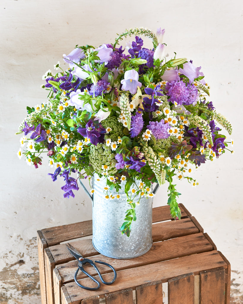 Saatgutpaket -  Blue Sky -  Saatgut von Gartenzauber