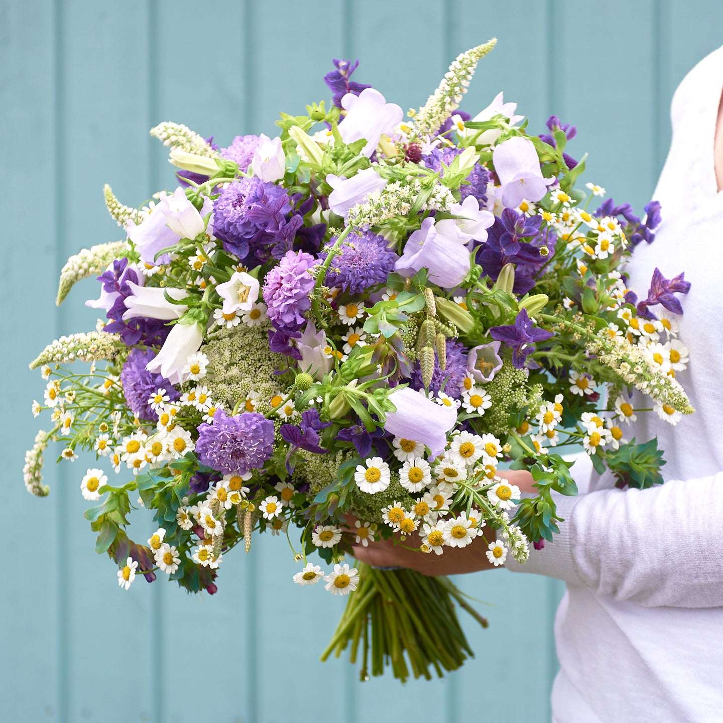 Saatgutpaket -  Blue Sky -  Saatgut von Gartenzauber
