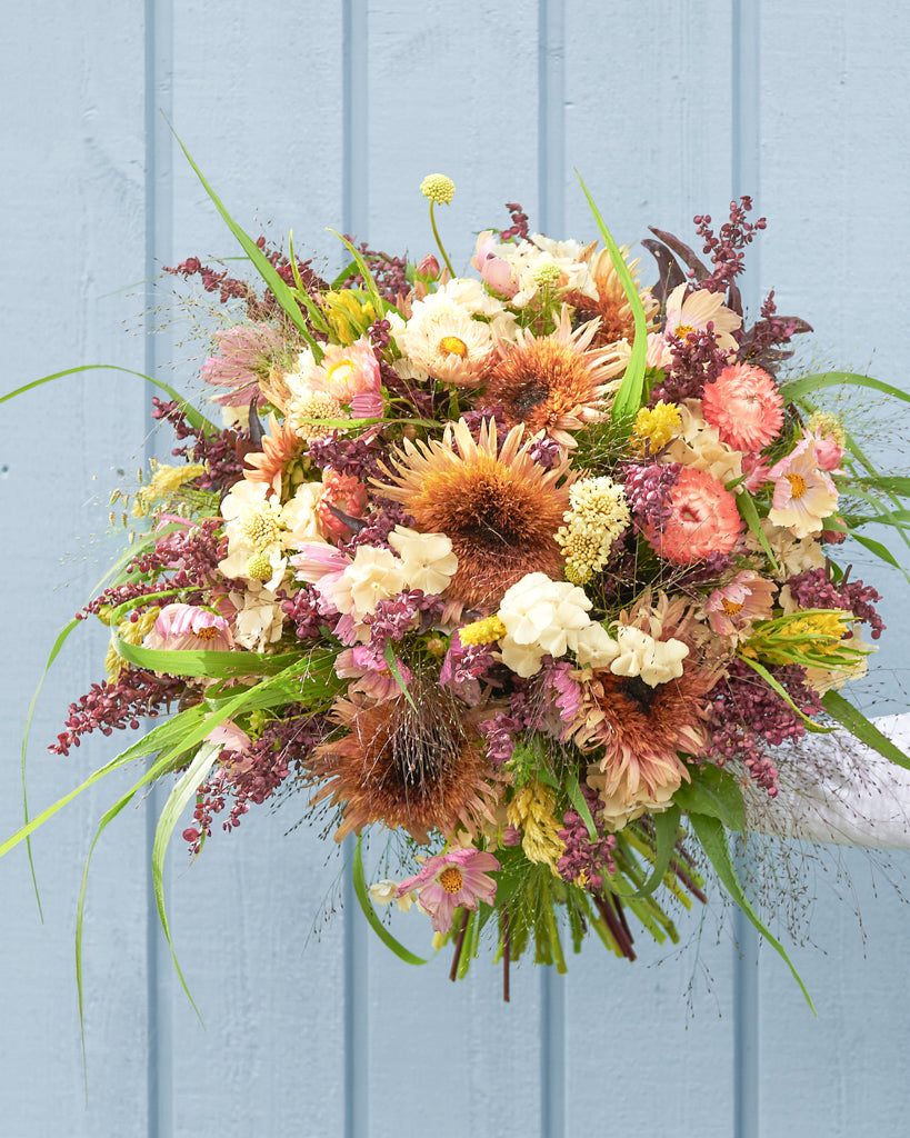 Saatgutpaket - Oriental Breeze - Saatgut von Gartenzauber