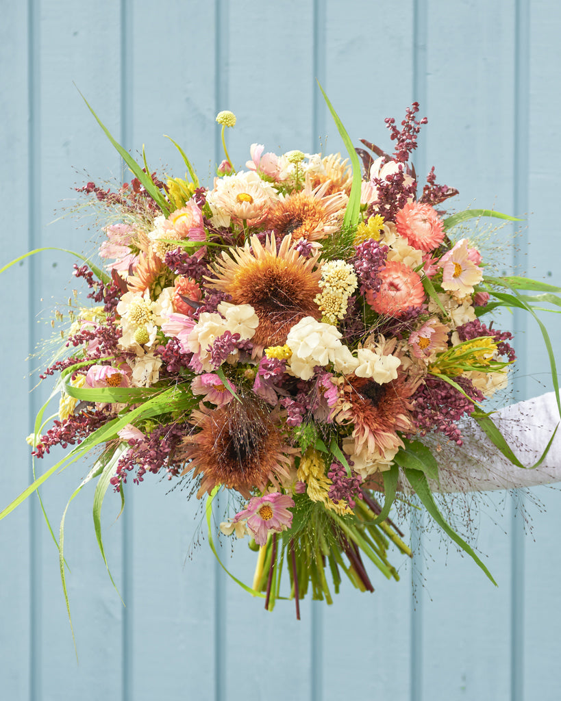 Saatgutpaket - Oriental Breeze - Saatgut von Gartenzauber