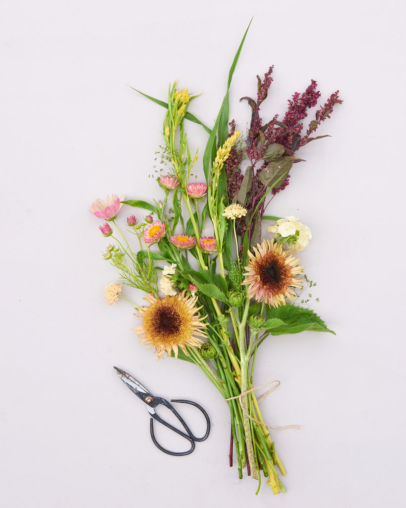 Buttermilk Blossom seed packet