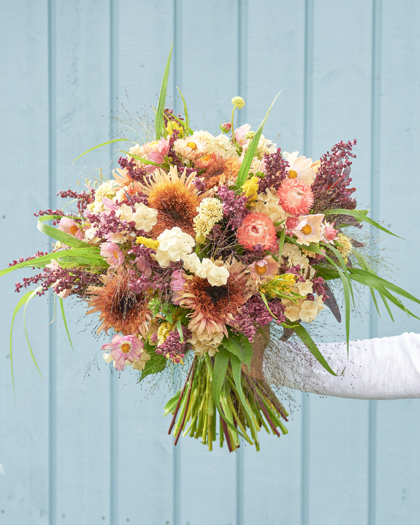 Saatgutpaket - Oriental Breeze - Saatgut von Gartenzauber