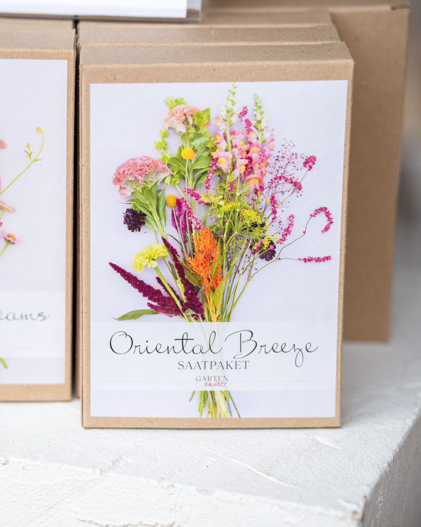 Saatgutpaket - Oriental Breeze - Saatgut von Gartenzauber