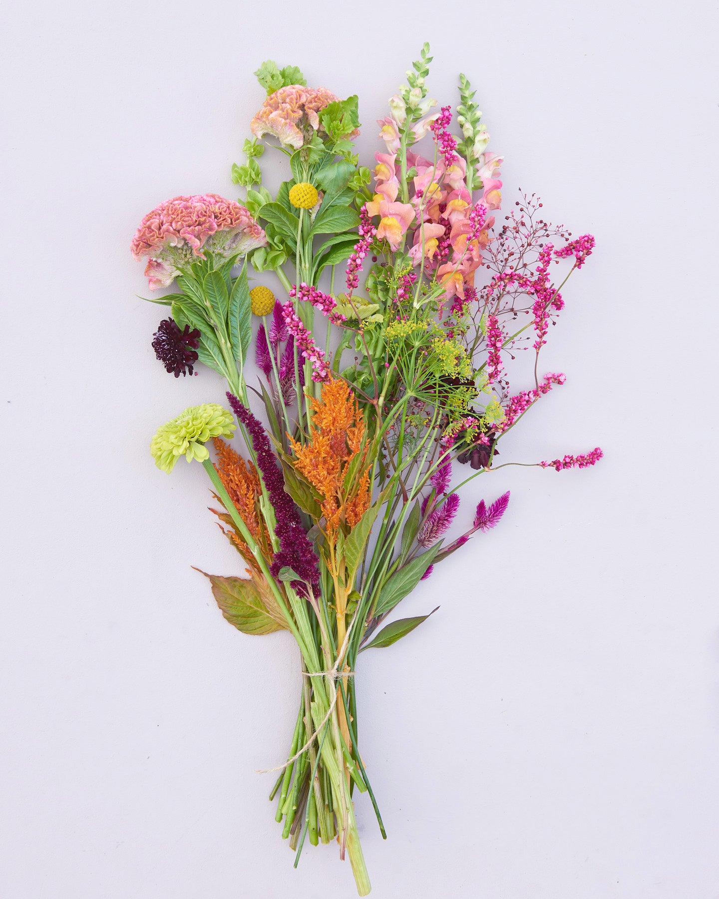 Saatgutpaket - Oriental Breeze - Saatgut von Gartenzauber