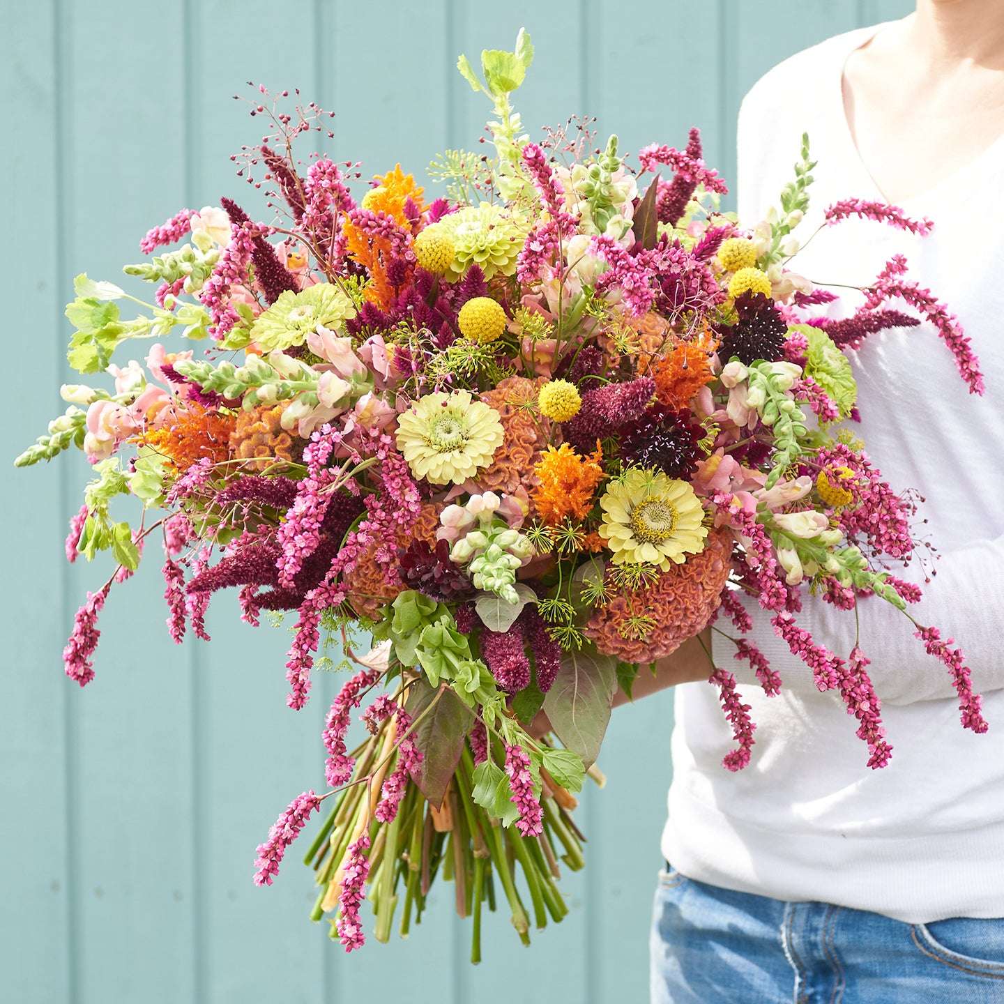 Saatgutpaket - Oriental Breeze - Saatgut von Gartenzauber