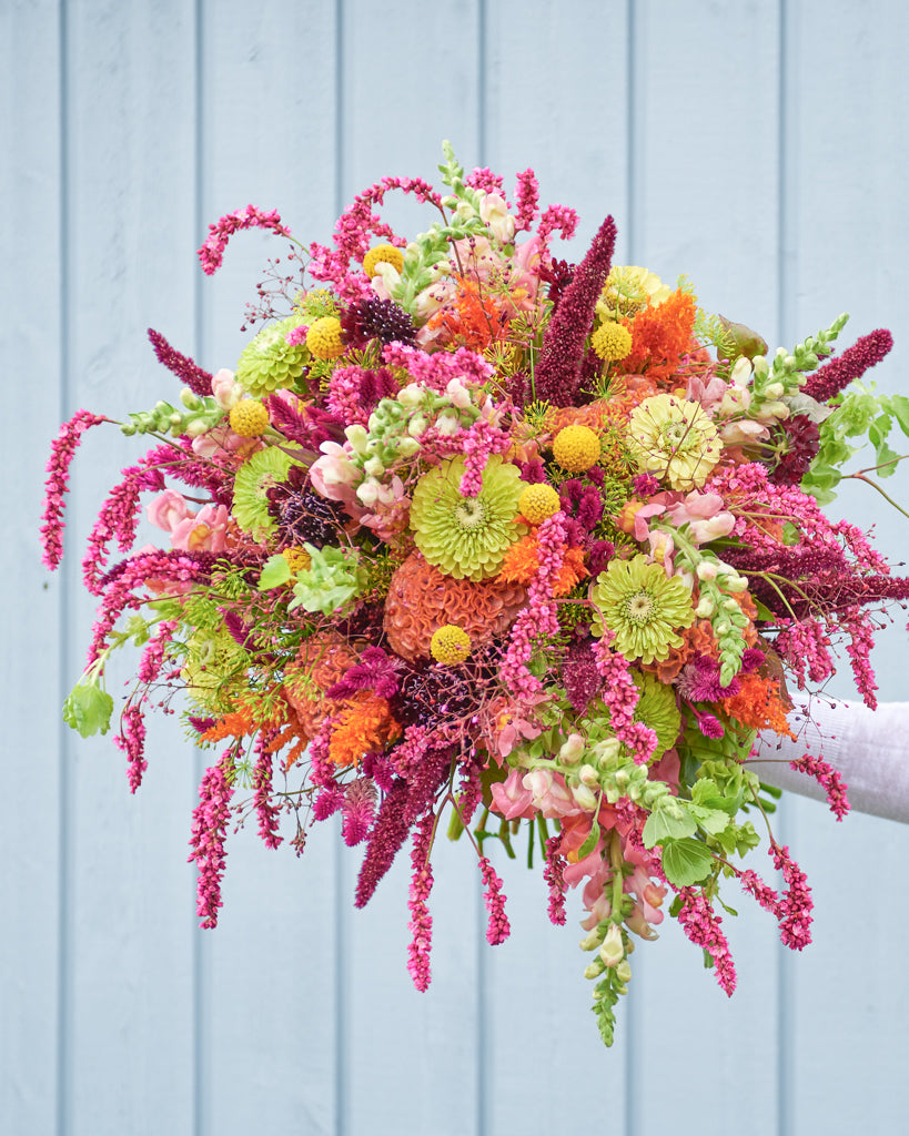 Saatgutpaket - Oriental Breeze - Saatgut von Gartenzauber