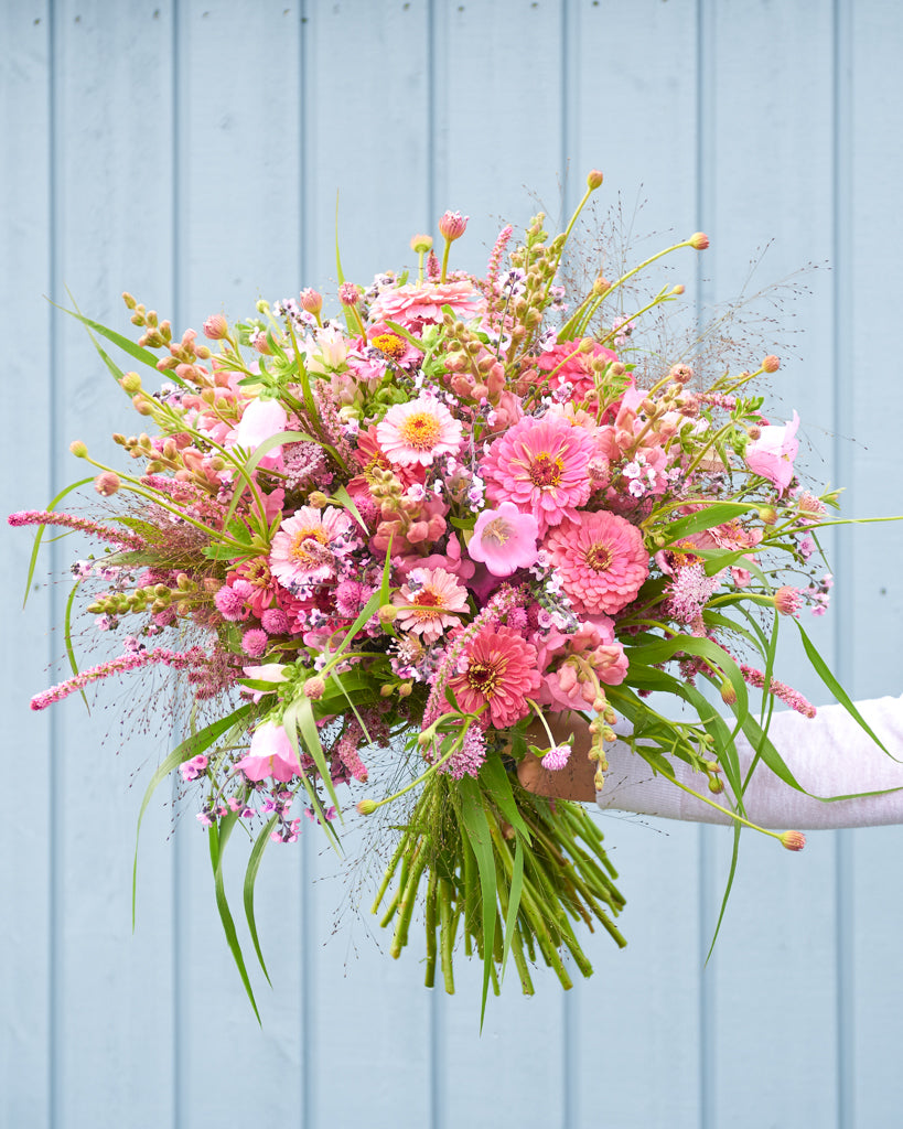 Saatgutpaket - Soft Pink Dreams - Saatgut von Gartenzauber