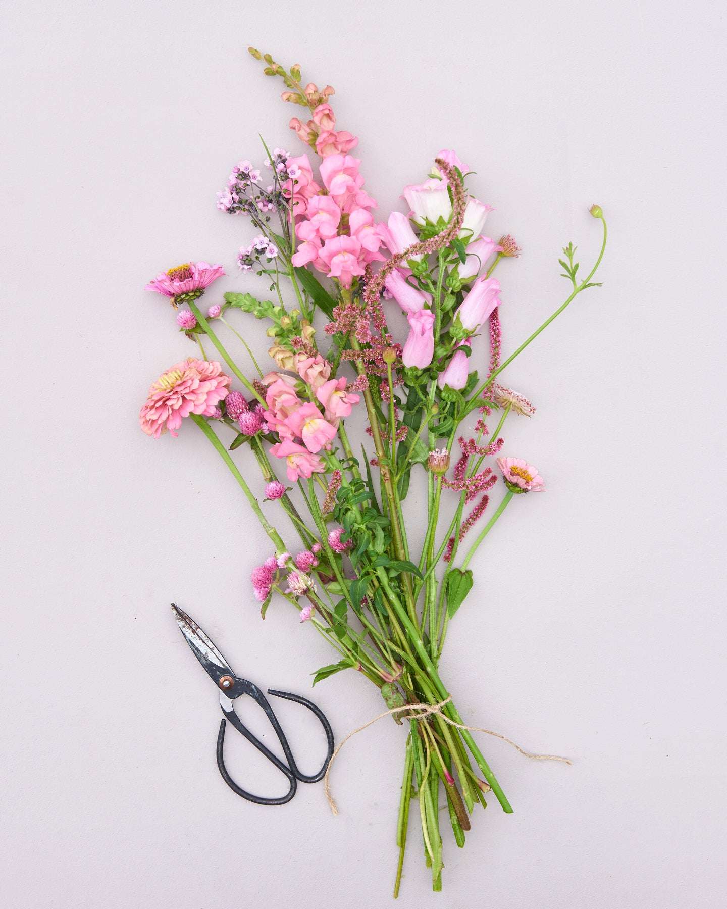 Saatgutpaket - Soft Pink Dreams - Saatgut von Gartenzauber