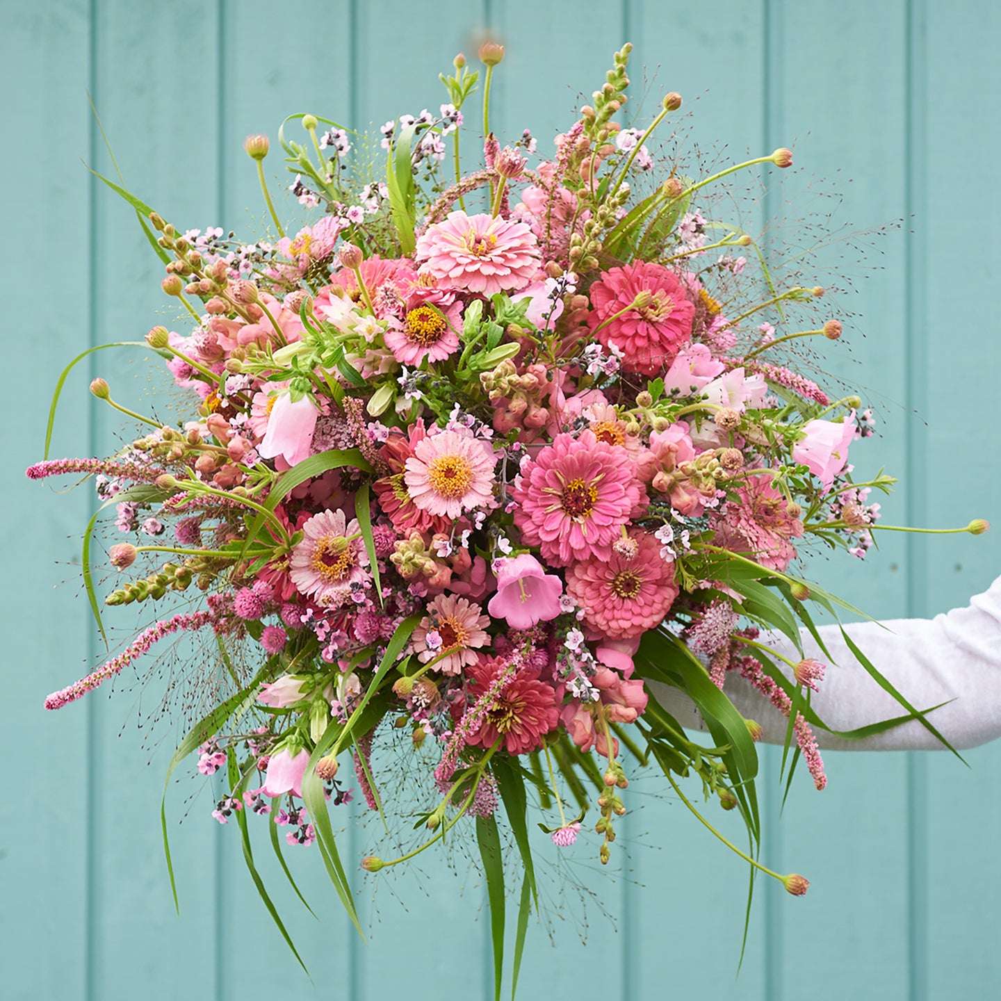 Saatgutpaket - Soft Pink Dreams - Saatgut von Gartenzauber