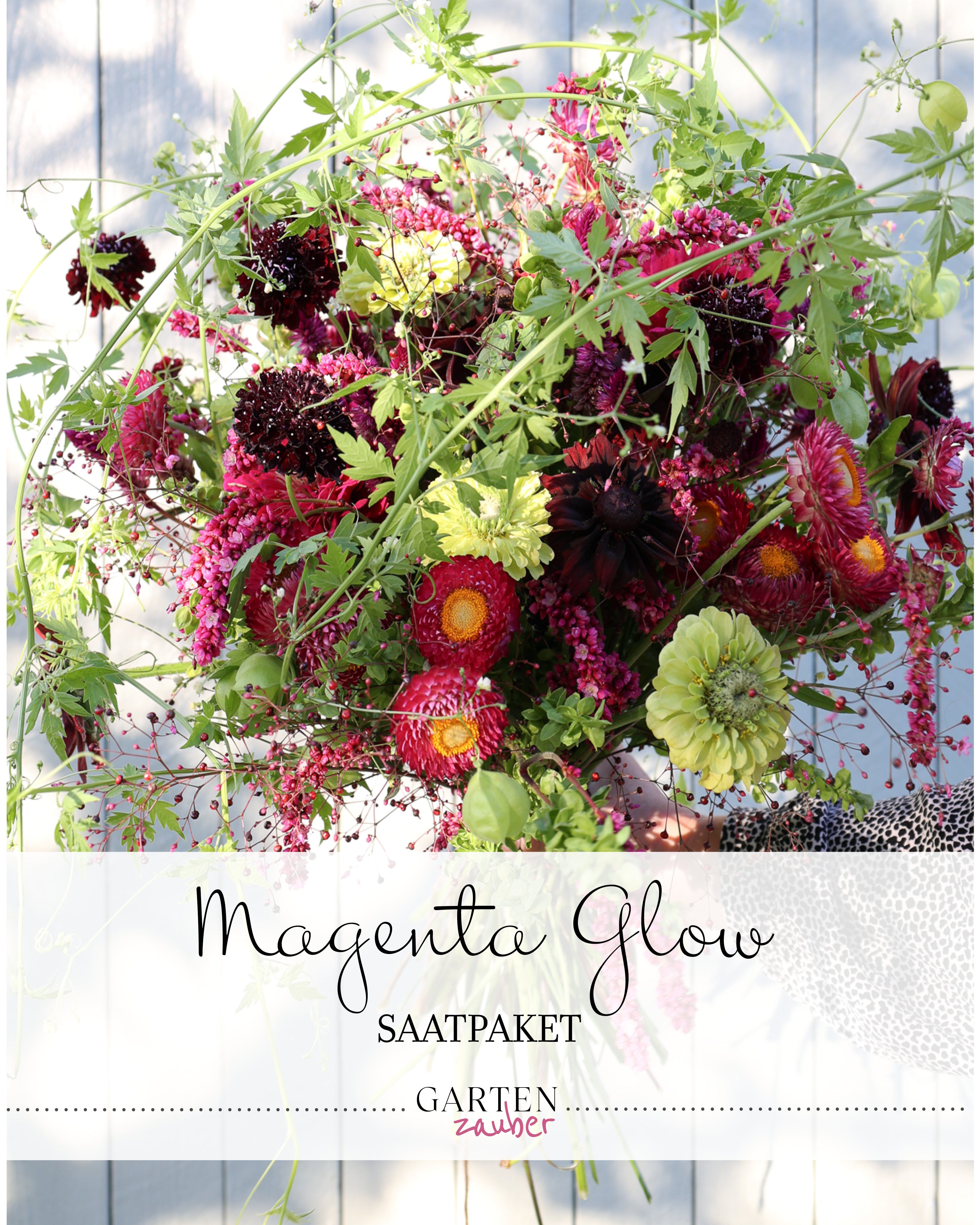 Titelbild des Gartenzauber-Saatgutpakets Magenta Glow mit Abbildung eines daraus gestaltbaren Sommerstraußes in Pink-, Purpur- und Beerentönen.