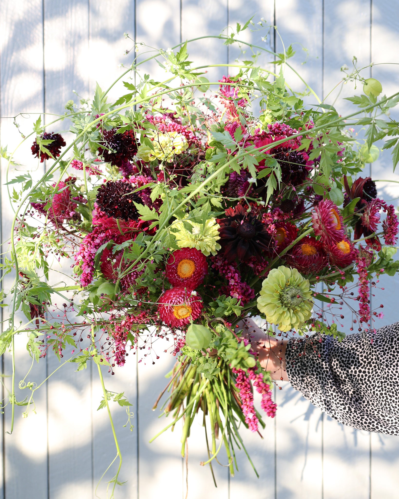 Locker gebundener Sommerstrauß aus dem Saatgutpaket Magenta Glow in kräftigen Pink- und Beerentönen.