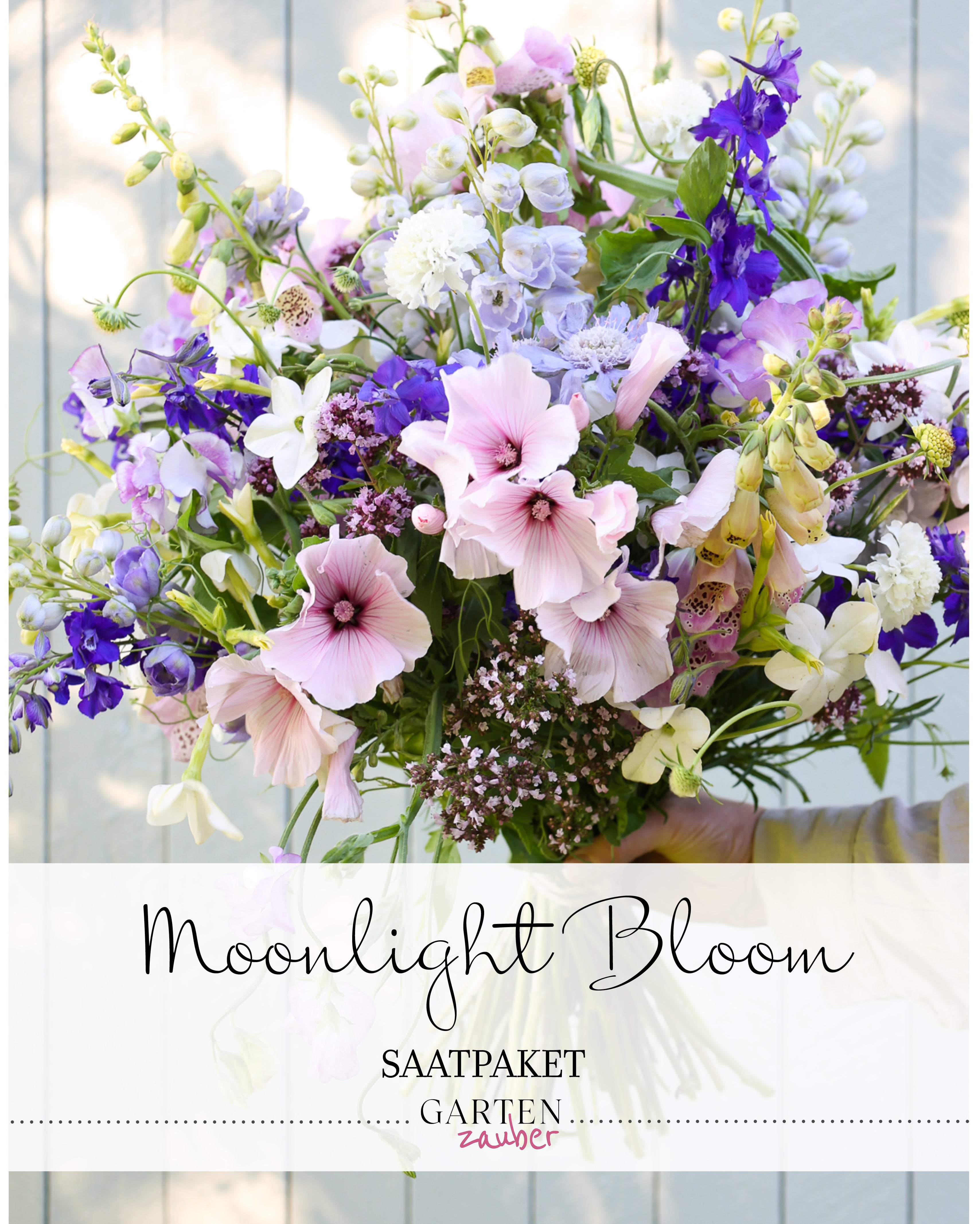 Titelbild des Gartenzauber-Saatgutpakets Moonlight Bloom mit Abbildung eines daraus gestaltbaren Straußes in Blau-, Weiß- und zarten Rosatönen.
