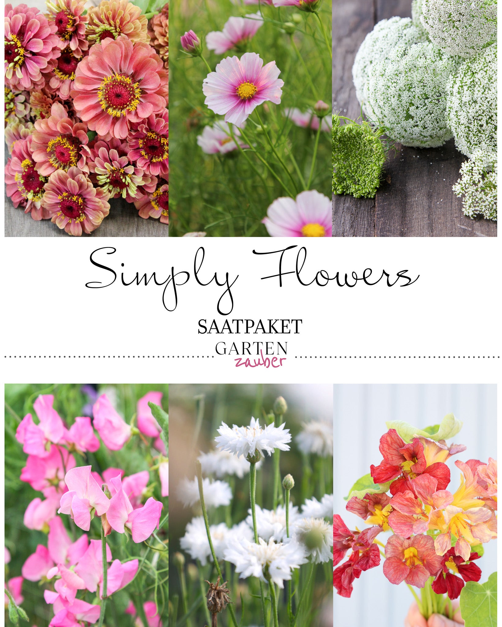 Titelbild Saatgutpaket Simply Flowers mit Abbildungen von bunten Sommerblumen für Garten, Beet und Kübel.