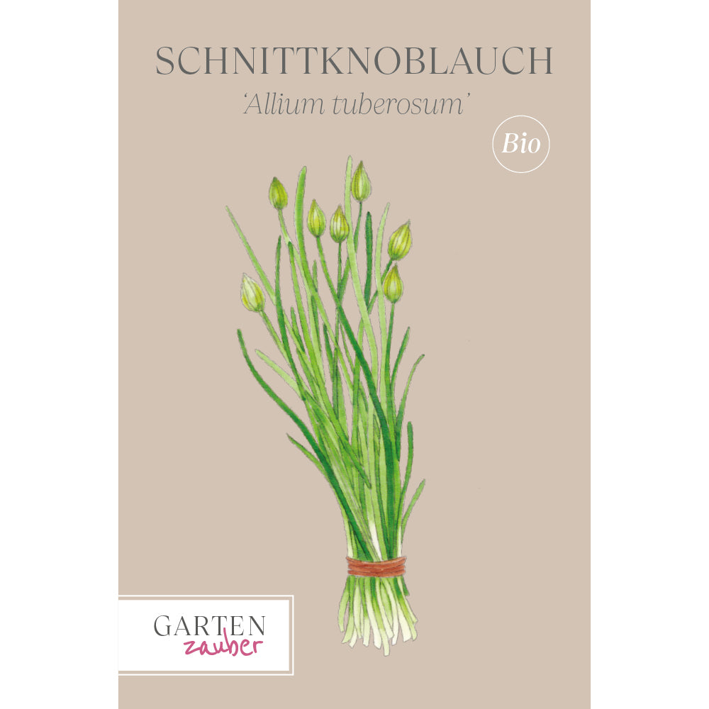 Vorderansicht Saatguttuete Schnittknoblauch 'Schnittknoblauch' aus der Gartenzauber-Saatgutserie