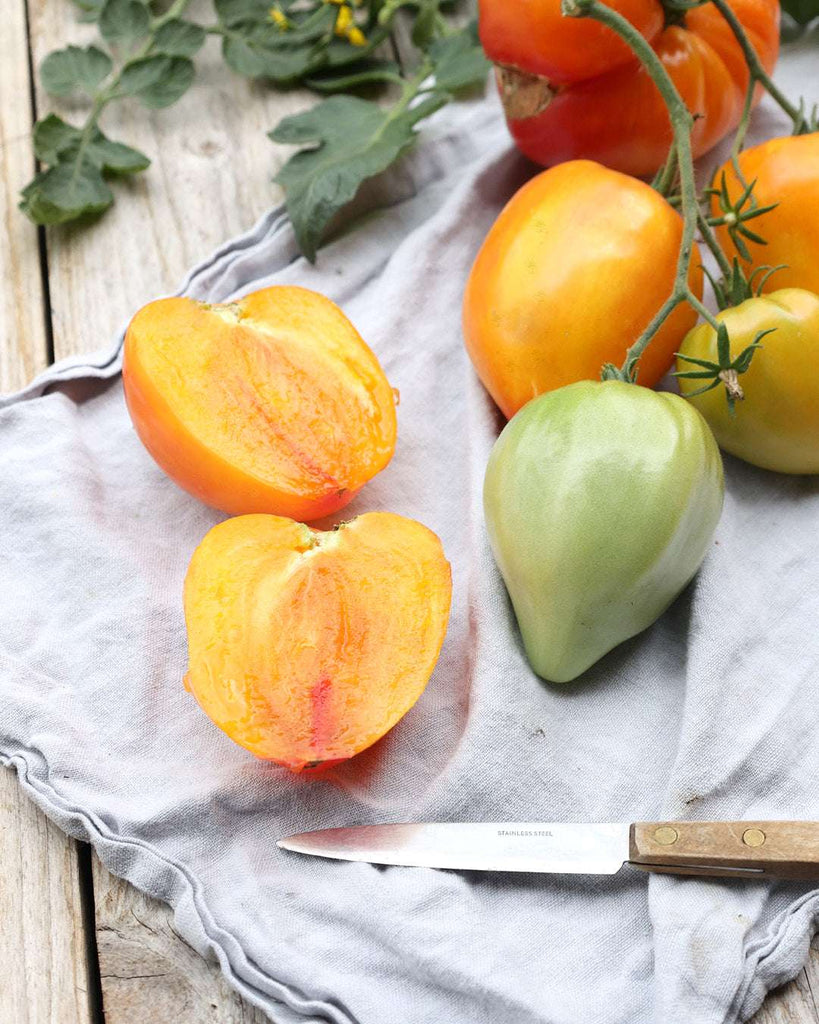 Tomato 'Sunheart' - Solanum lycopersicum