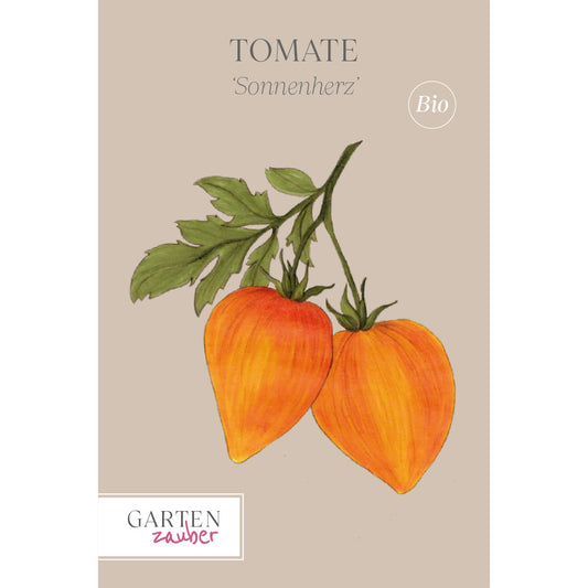 Tomato 'Sunheart' - Solanum lycopersicum