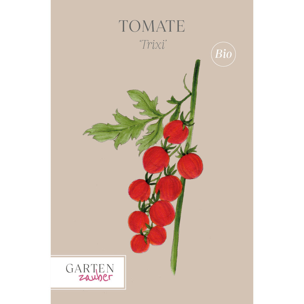 Vorderansicht Saatguttuete 'Trixi' aus der Gartenzauber-Saatgutserie Gemuese Pflanze 'Trixi'