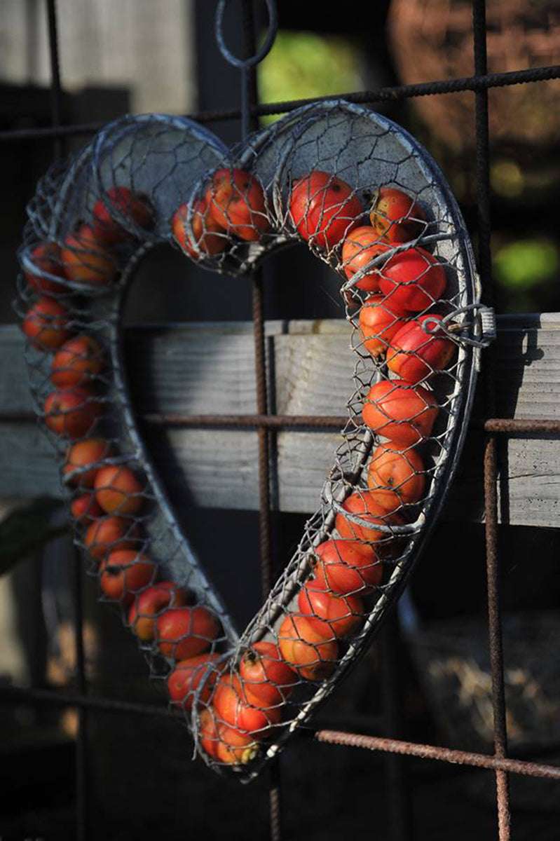Befüllbarer Herzkranz mit Drahtgestell – dekorativ für Haus und Garten