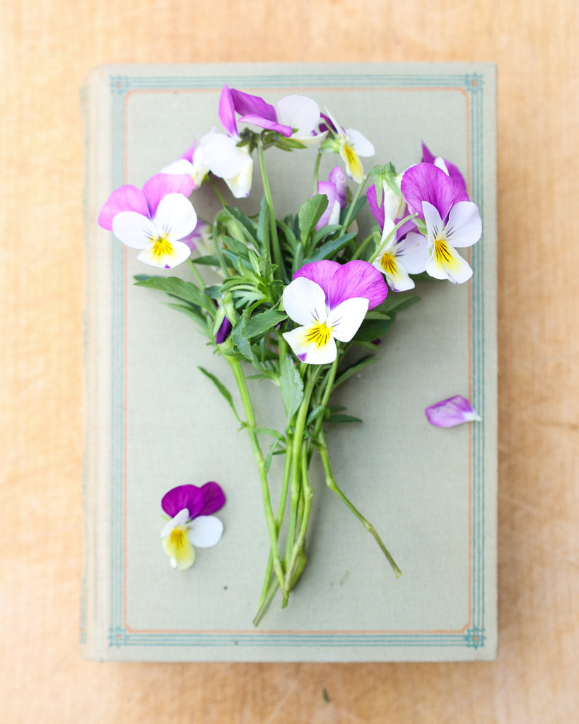 Hornveilchen · 'Floral Power Persian Pink' · Viola Cornuta leuchten in einem intensiven Rosa mit sanften, hellen Nuancen – Strauß auf einem Buch