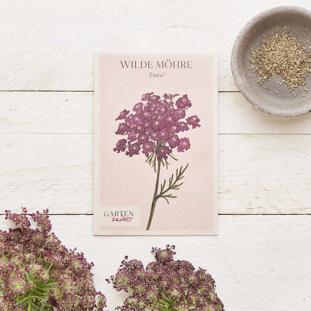 Vorderansicht Saatguttuete Wilde Möhre - Daucus carota 'Dara' aus der Gartenzauber-Saatgutserie dekoriert mit frischen Blumen