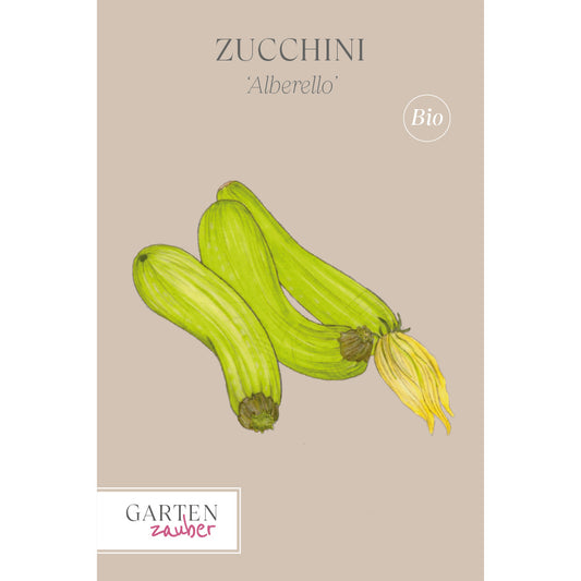 Vorderansicht Saatguttuete Zucchini 'Alberello' aus der Gartenzauber-Saatgutserie