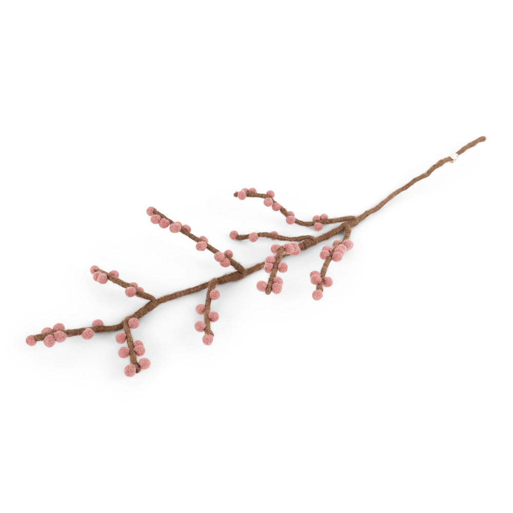 Branch with old pink berries
