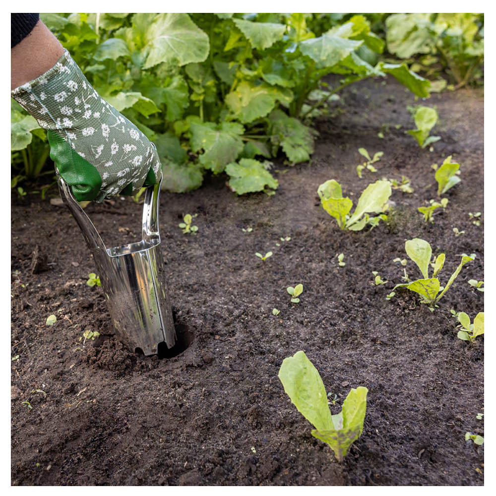Edelstahl-Zwiebelpflanzer in der Erde – Pflanzhilfe für Narzissen und Tulpen