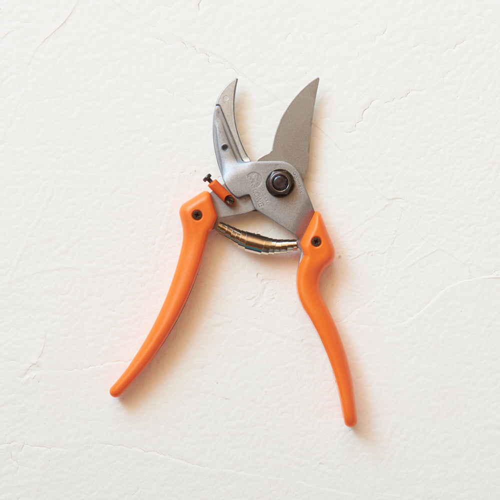 Original LÖWE 8107 Amboss-Schere mit gebogener Klinge – Profi-Gartenschere von Gartenzauber