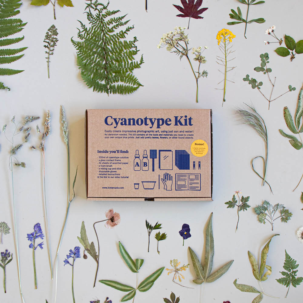 Botanopia Cyanotypie-Kit – Set mit Emulsion und Zubehör, fotografiert auf Blumenhintergrund
