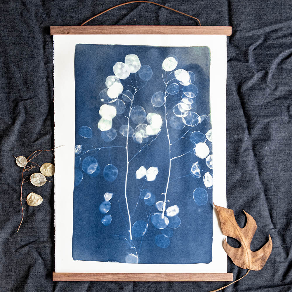 Beispiel einer Cyanotypie mit Pflanzenmotiv – Blaudruck erstellt mit dem DIY-Kit von Botanopia