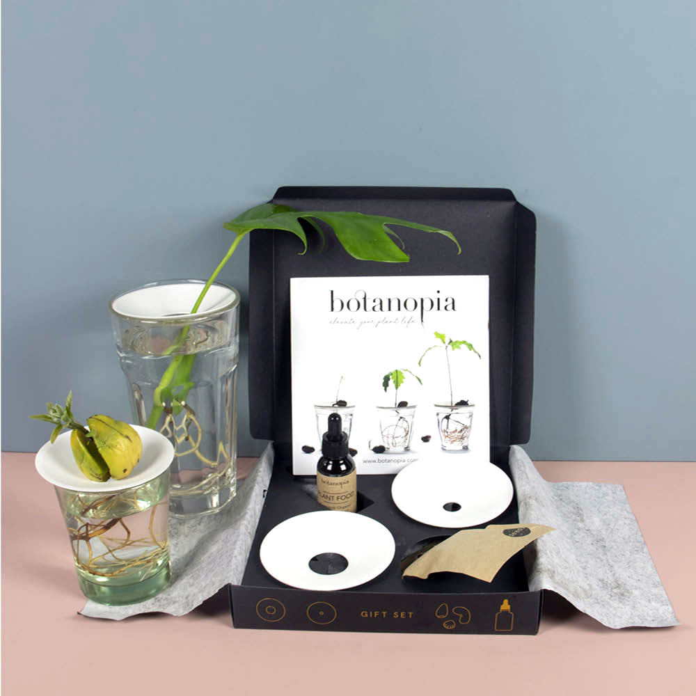 Geschenk-Set von Botanopia – Zubehör für die Anzucht von Samen und Stecklingen