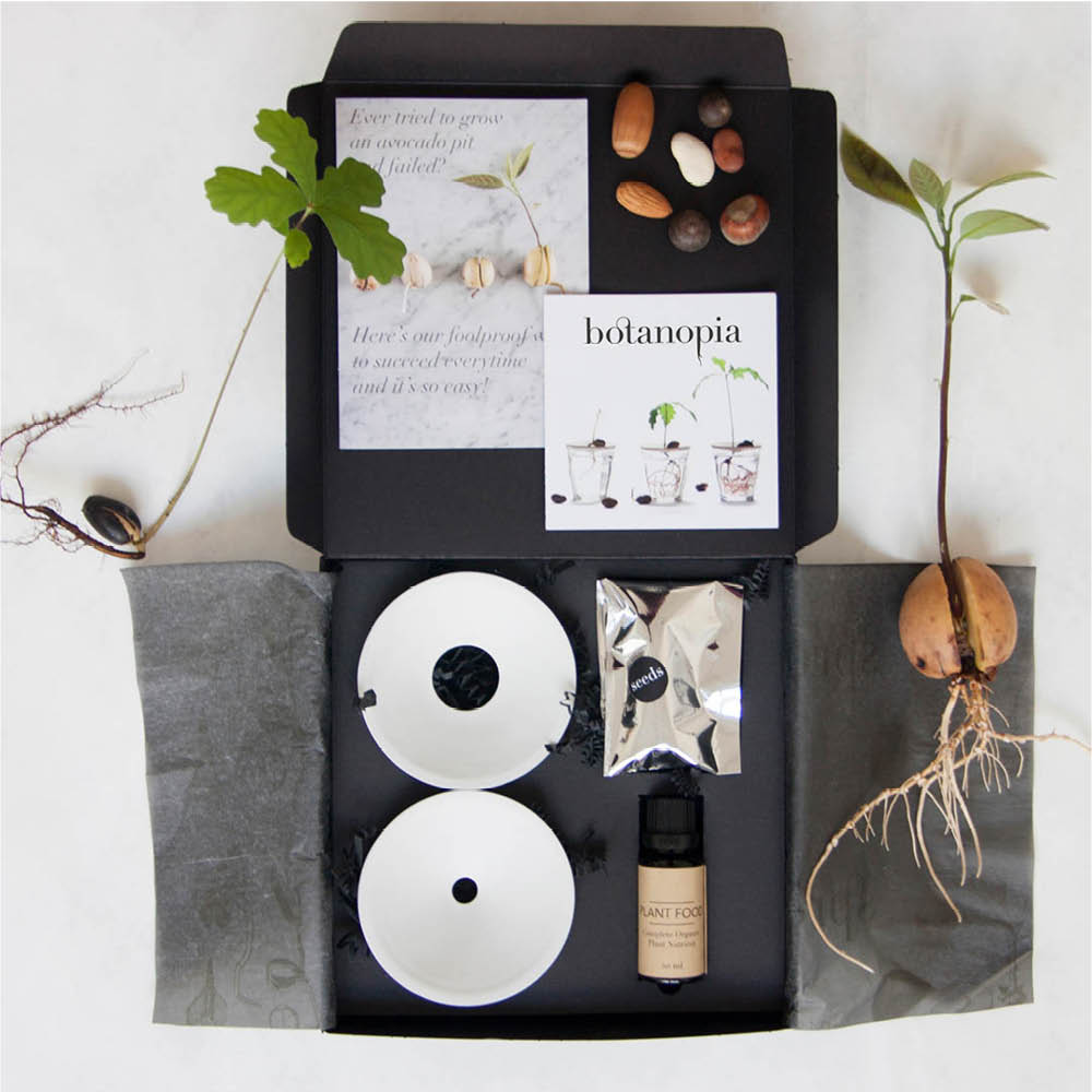 deluxe-keimung-&-vermehrung-geschenk-set-geschenk-dekoration-botanopia-gartenzauber