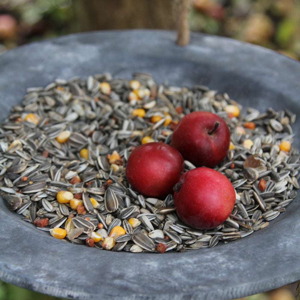 Hängendes Vogelbad von Eldgarden in Steinoptik – mit Vogelfutter und roten Äpfeln 