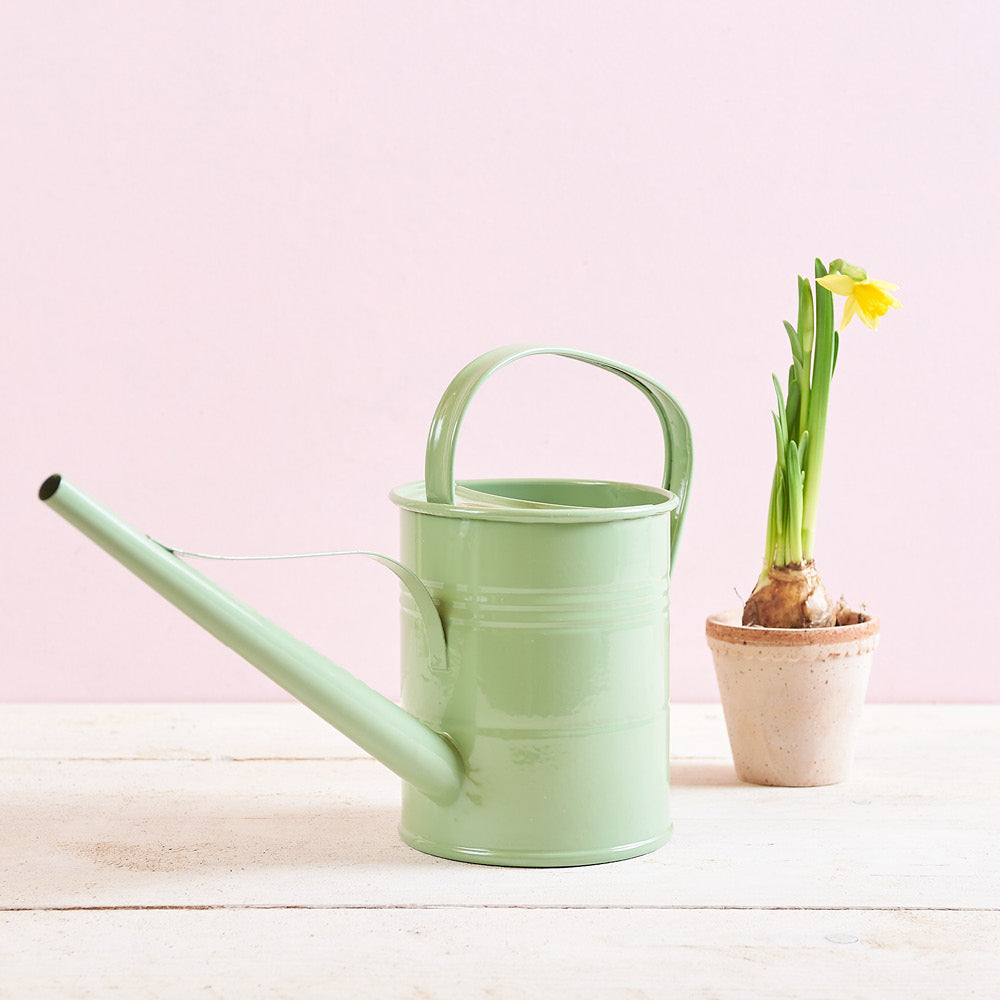 Plint Gießkanne Sommergrün – stilvolles Gartenaccessoire mit 1,5 Liter Fassungsvermögen