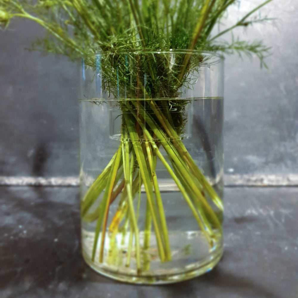 Blumenstiele im Wasser, fixiert durch das Hanataba „Crystal Clear“ in der Vase.