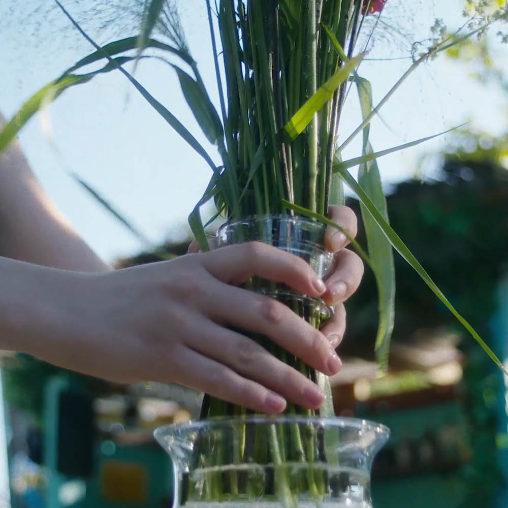Blumenstiele werden mit dem Hanataba „Crystal Clear“ in einer Vase arrangiert.