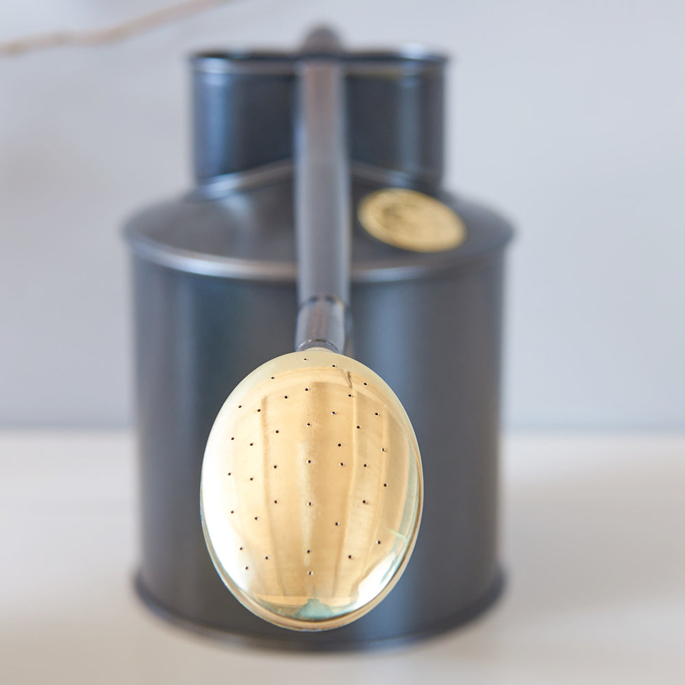 haws-indoor-gießkanne-graphite