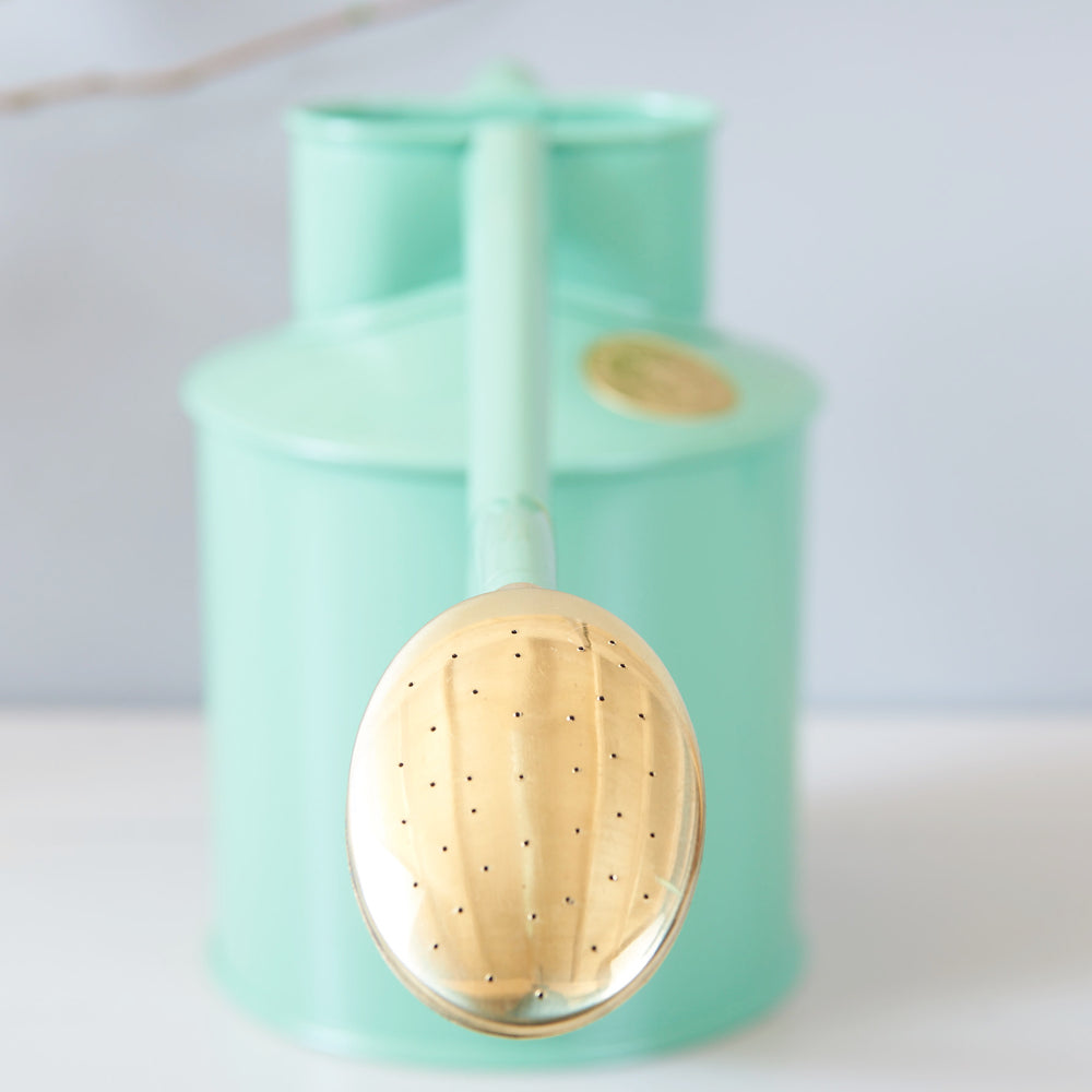 haws-indoor-gießkanne-hellgruen