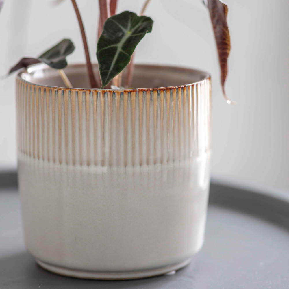 uebertopf-hillesley-klein