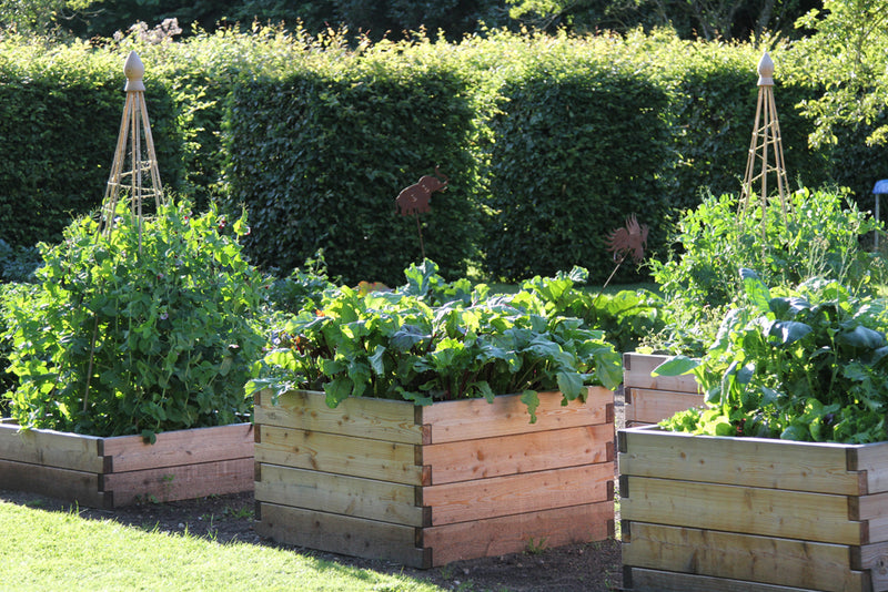 hochbeet4-hoehe60cm-laerchenholz-stecksystem-gartenzauber
