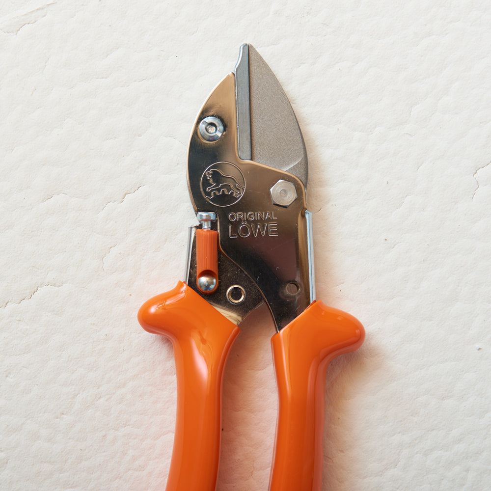 original-loewe-5.127-kleine-amboss-schere-mit-spitzer-klinge