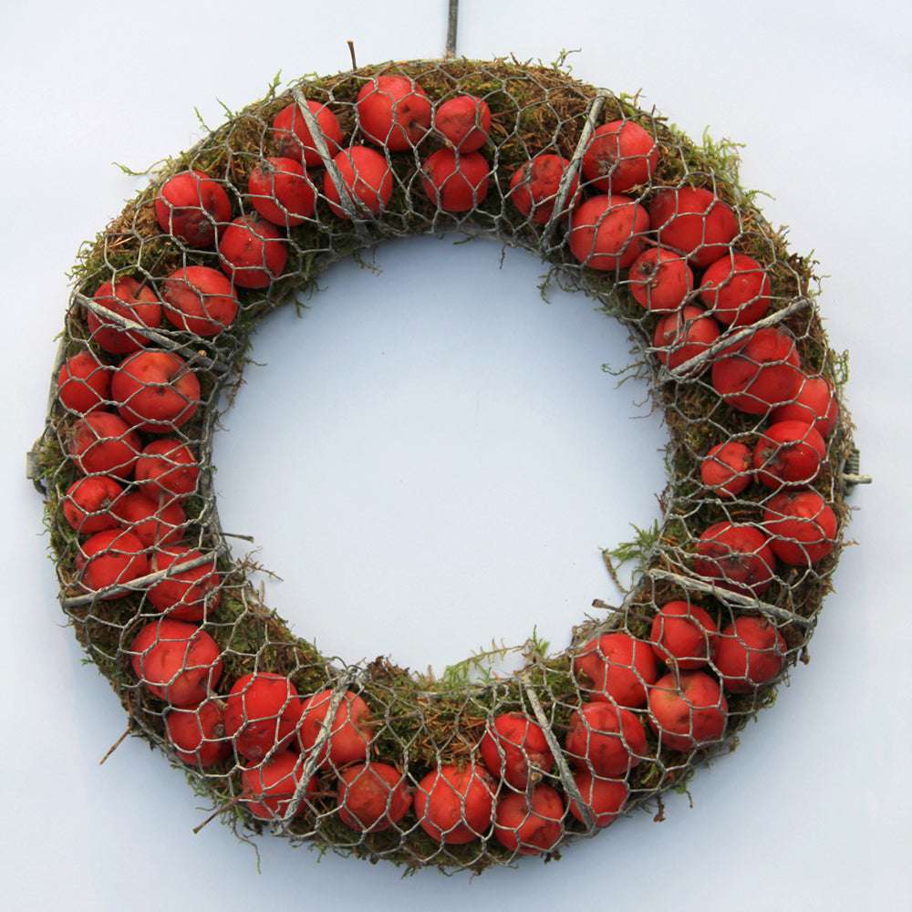 Metallkranz mit Äpfeln und Moos – stimmungsvolle Herbstdekoration